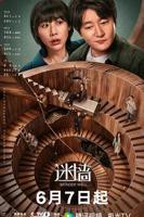 迷墙电视剧免费观看全集完整版高清